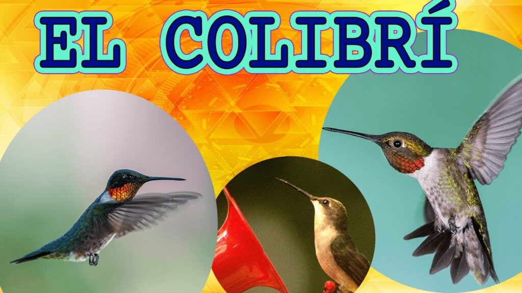 Cómo crear un cuento colibri