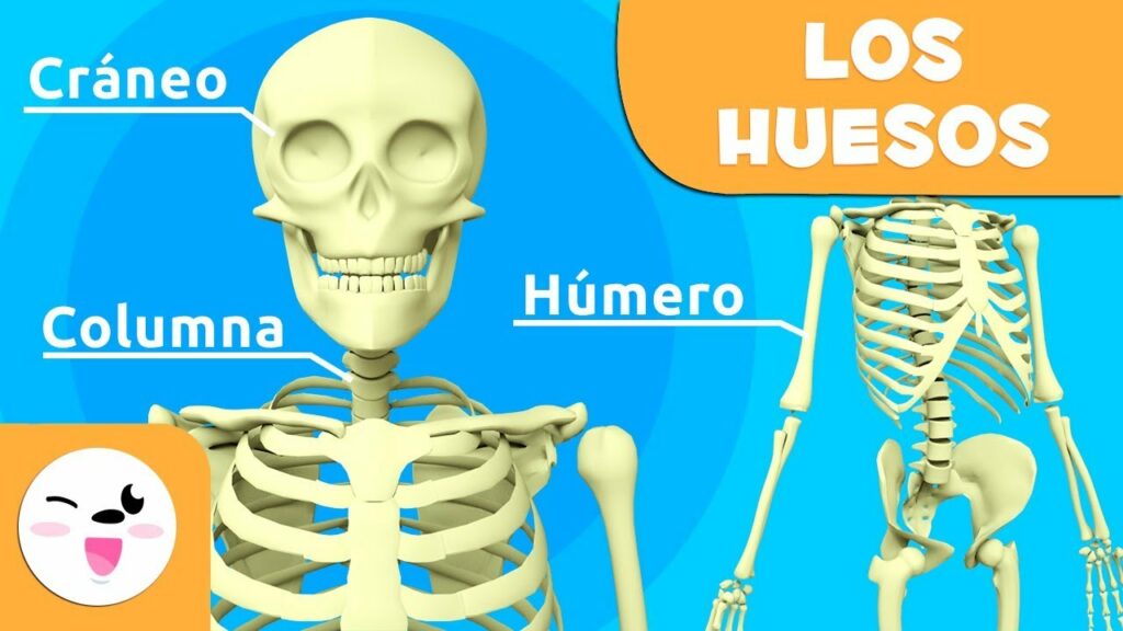 Cómo crear un cuento huesos