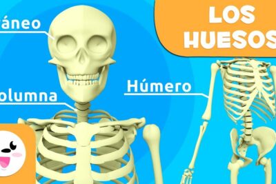 Cómo crear un cuento huesos