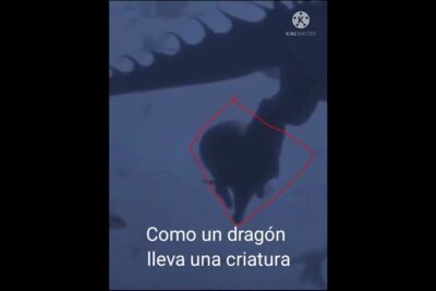 Cómo crear un dragones cuento