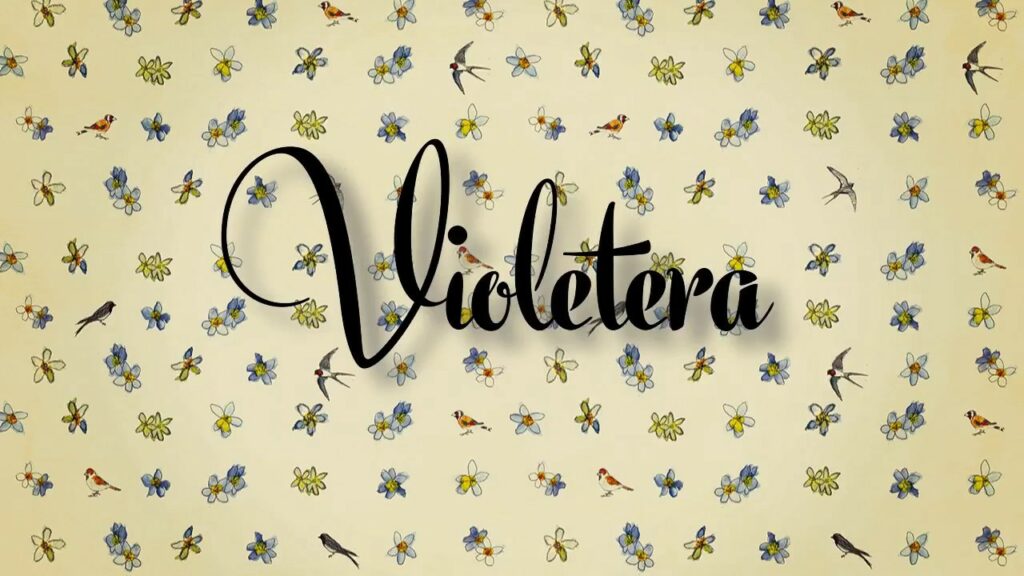 Cómo crear un violetera cuento