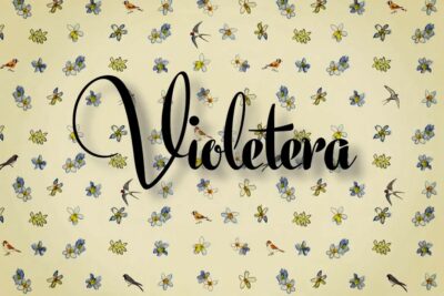 Cómo crear un violetera cuento